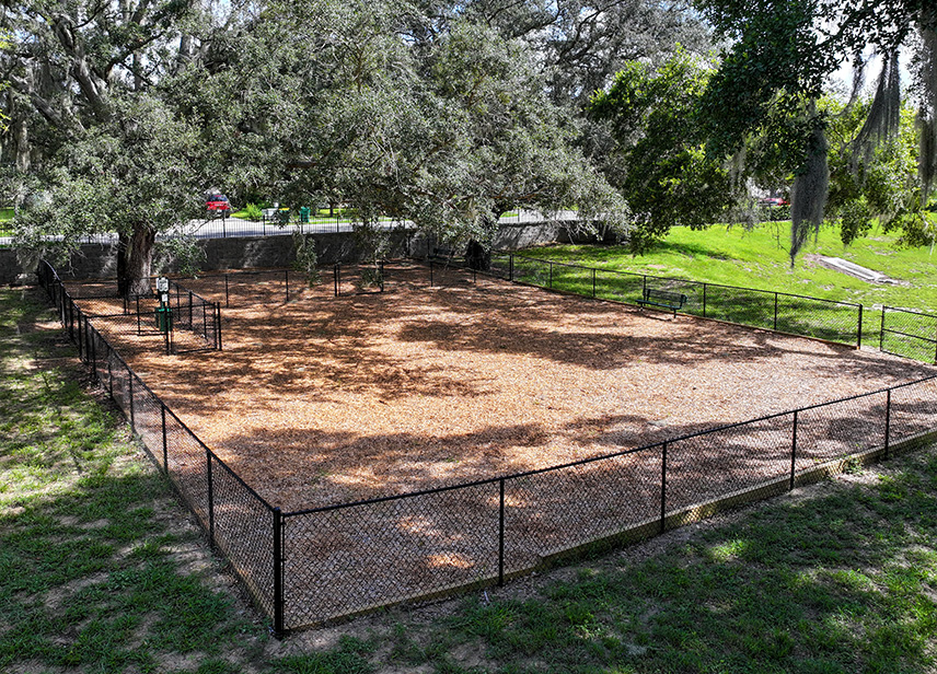 Dog Park-image